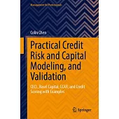 Practical Credit Risk and Capital Modeling, and Validation: Cecl, Basel Capital, Ccar, and Credit Scoring with Examples