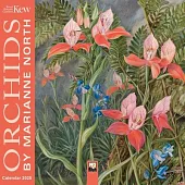 Kew Gardens: Orchids by Marianne North Mini Wall Calendar 2025 (Art Calendar)