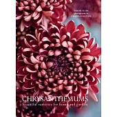 Chrysanthemums: Beautiful Varieties for Home and Garden
