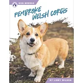 Pembroke Welsh Corgis