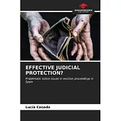 Effective Judicial Protection?