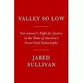 Valley So Low: One Lawyer’s Fight for Justice in the Wake of America’s Great Coal Catastrophe