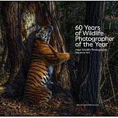 60 Years of Wildlife Photographer of the Year: How Wildlife Photography Became Art