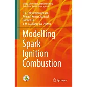 Modelling Spark Ignition Combustion