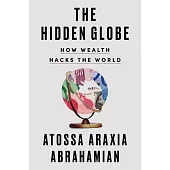 The Hidden Globe: How Wealth Hacks the World