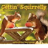 Gettin’ Squirrelly 2025 6.2 X 5.4 Box Calendar