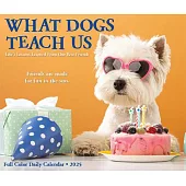 What Dogs Teach Us 2025 6.2 X 5.4 Box Calendar