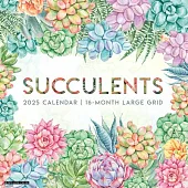 Succulents--Large Grid 2025 12 X 12 Wall Calendar
