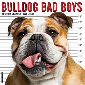 Bulldog Bad Boys 2025 12 X 12 Wall Calendar