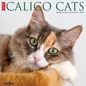 Just Calico Cats 2025 12 X 12 Wall Calendar