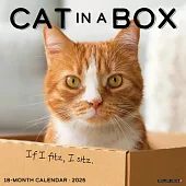Cat in a Box 2025 12 X 12 Wall Calendar