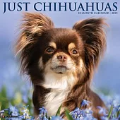 Just Chihuahuas 2025 12 X 12 Wall Calendar