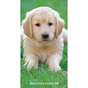 Puppy Love 2-Year 2025-26 3.5 X 6.5 Monthly Pocket Planner