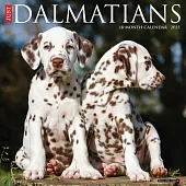 Just Dalmatians 2025 12 X 12 Wall Calendar