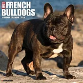 Just French Bulldogs 2025 12 X 12 Wall Calendar