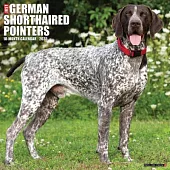 Just German Shorthaired Pointers 2025 12 X 12 Wall Calendar