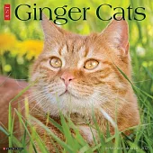 Just Ginger Cats 2025 12 X 12 Wall Calendar