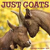 Goats 2025 12 X 12 Wall Calendar