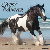 Gypsy Vanner Horse 2025 12 X 12 Wall Calendar