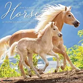Happiness Is a Horse 2025 12 X 12 Wall Calendar