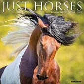 Just Horses 2025 12 X 12 Wall Calendar