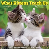 What Kittens Teach Us 2025 12 X 12 Wall Calendar