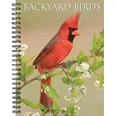 Backyard Birds 2025 6.5 X 8.5 Engagement Calendar