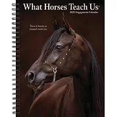 What Horses Teach Us 2025 6.5 X 8.5 Engagement Calendar
