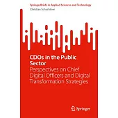 Cdos in the Public Sector: Perspectives on Chief Digital Officers and Digital Transformation Strategies