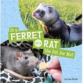 Is a Ferret or a Rat the Pet for Me?