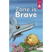 Zane Is Brave