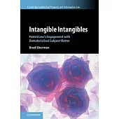Intangible Intangibles: Patent Law’s Engagement with Dematerialised Subject Matter