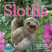 Original Sloths Mini Wall Calendar 2025: Celebrate Life in the Slow Lane