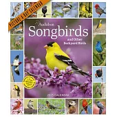 Audubon Songbirds and Other Backyard Birds Picture-A-Day Wall Calendar 2025