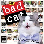 Bad Cat Wall Calendar 2025: Celebrating the Misfits of the Feline World