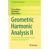 Geometric Harmonic Analysis II: Function Spaces Measuring Size and Smoothness on Rough Sets