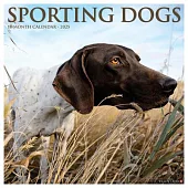 Sporting Dogs 2025 12 X 12 Wall Calendar