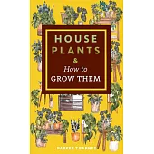 Houseplants & How to Grow Them