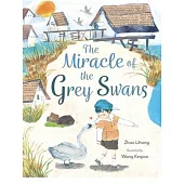 The Miracle of the Grey Swans