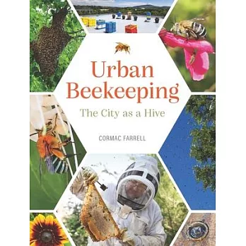 Urban Beekeeping: The City as a Hive