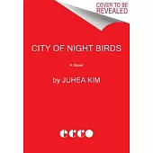 City of Night Birds