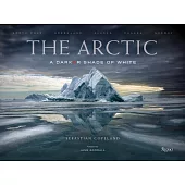 The Arctic: A Darker Shade of White