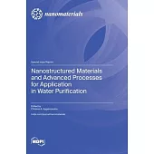 Nanostructured Materials and Advanced Processes for Application in Water Purification