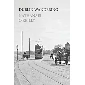 Dublin Wandering