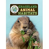Grassland Animal Habitats