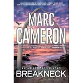 Breakneck: A Captivating Novel of Suspense