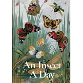 An Insect a Day