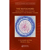 The Notochord: Development, Evolution and Contributions to the Vertebral Column