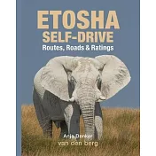 Etosha Self-Drive: Routes, Roads and Ratings