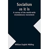 Socialism as it is: a survey of the world-wide revolutionary movement